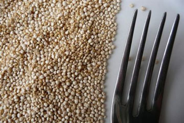 Αρχαίο δημητριακό των Ίνκας επανέρχεται ως υγιεινή πρόταση