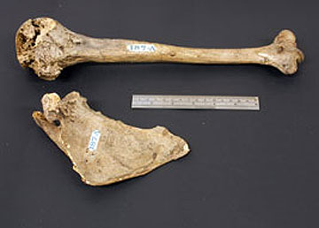 Ξανασυναντώντας τον άνθρωπο που άλλαξε την αρχαιολογία