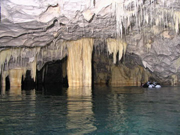 Φιλί ζωής στον Διρό