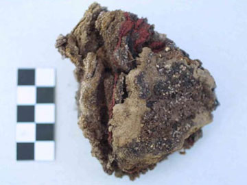 Με τις ακτίνες Χ έλυσαν τον γρίφο των Μάγια