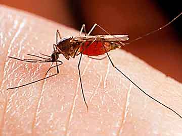 Ελονοσία και κινίνο