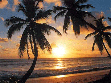 Bρέθηκε το νησί του Ροβινσώνα Κρούσου