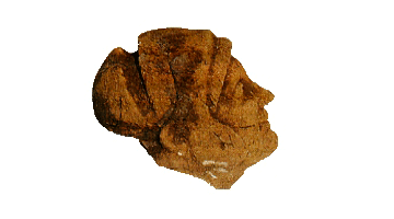 Ναός στην Τραπεζά του Αιγίου δείχνει Κάτω Ιταλία