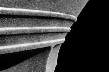 Η φωτογραφία στην αρχαιολογία από το Μουσείο Μπενάκη