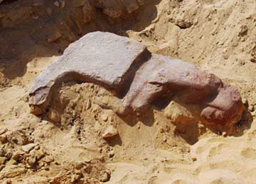 Άγαλμα 4.000 ετών αποκαλύφθηκε κοντά στις πυραμίδες της Γκίζας