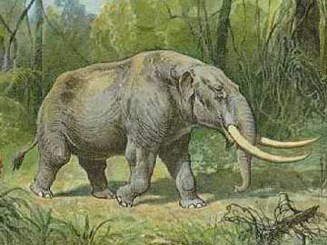 Παλαιοντολογικά ευρήματα στο Σέσκλο