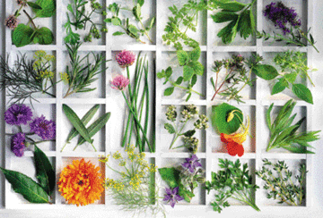 Καρυκεύματα και αφεψήματα 8.500 χρόνων