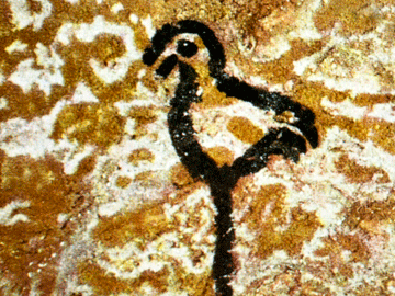 Πουλιά σε παλαιολιθικές βραχογραφίες