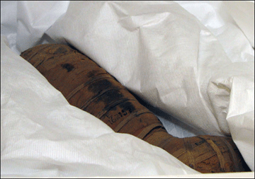 Συνόδεψε τον αφέντη του στον άλλο κόσμο