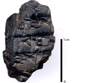 Ιστορική αποκάλυψη σφηνοειδούς πινακίδας στην Tell el-Daba της Αιγύπτου