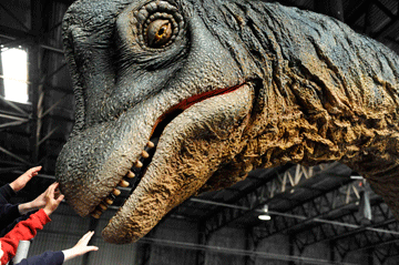 Οι μεγάλοι δεινόσαυροι ήταν τελικά μισοί σε μέγεθος;
