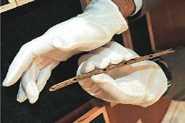 Μουσικό όργανο ηλικίας 35.000 ετών