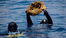 Υποθαλάσσιο μουσείο αποκαλύφθηκε στη Μεσόγειο