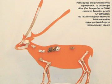 Κρήτη: το προπύργιο της Ευρασίας