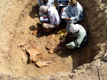 Ένας ζωολογικός κήπος στην αρχαία Αίγυπτο