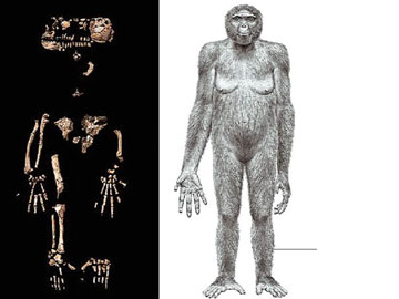 Ιδού ο αρχαιότερος πρόγονος του ανθρώπου