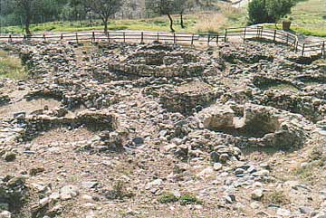 Νέα στοιχεία για τη Χοιροκοιτία της Κύπρου