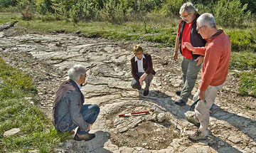 Βρήκαν ίχνη γιγάντιων δεινοσαύρων