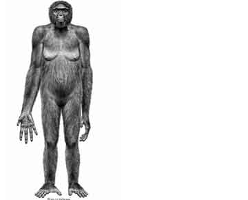 Πρόσωπο της επιστήμης για το 2009 η Ardi