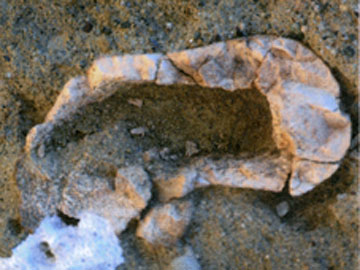 Eμπόριο αρχαίων στο Πράσινο Βουνό της Χίου