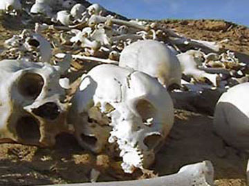 Επιστροφή από τη λήθη για το στρατό του Καμβύση…