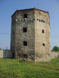 Η αποκατάσταση του πύργου Νεμπόισα ξεκίνησε τον Ιούνιο του 2009.