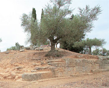 Ο Απόλλων αναζητεί τον θρόνο του