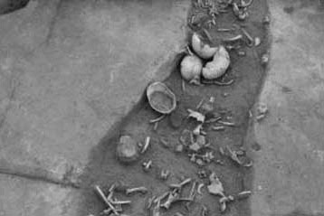 Σπάνια ευρήματα κανιβαλισμού στην Ευρώπη κατά τη Νεολιθική περίοδο