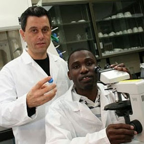 Η εκμετάλλευση του περιβάλλοντος ξεκίνησε στην αρχή της Εποχής των Παγετώνων