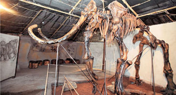 Μουσείο μαμούθ στη Θεσσαλονίκη