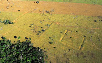 Αρχαίος πολιτισμός αποκαλύπτεται στη Βραζιλία
