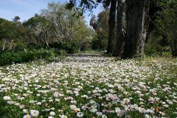 Βοτανικός Κήπος στην Ολυμπία