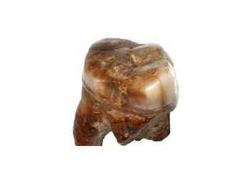 Και στην Πολωνία ζούσε ο Νεάντερταλ