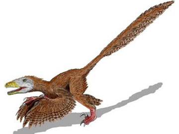 Εντοπίστηκε πολύχρωμος δεινόσαυρος