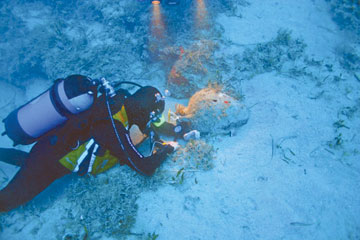 Το πρώτο Μινωικό ναυάγιο που βρέθηκε ποτέ