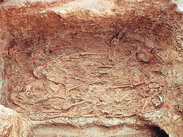 Τυφοειδής πυρετός έσπειρε τάφους στην αρχαία Αθήνα