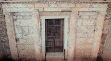 Φυτοφάρμακα απειλούν τη Βεργίνα