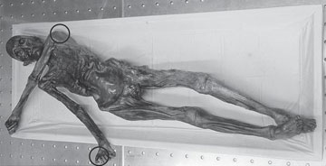 Αναζητώντας τους συγγενείς του Ότζι