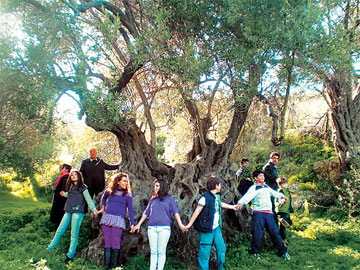 Ο αρχαίος ελαιώνας της Κρήτης