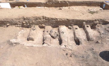 Η γλυκιά σοδειά της Ρούμπακα