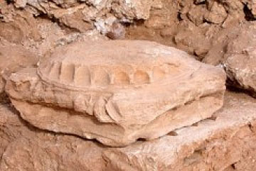 H Συρία συνεχίζει να γεννά αρχαιολογικούς θησαυρούς