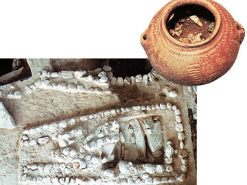 Επέστρεψαν πολύτιµα οστά