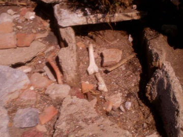Εντοπισμός αρχαίων τάφων στην Πελασγία