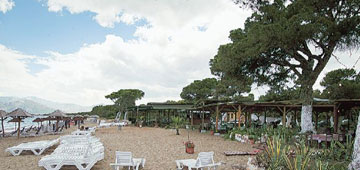 Ήμουν κι εγώ εκεί: Η μεγάλη απόβαση στο Μαραθώνα