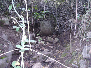 Μπανιέρα για το Διόνυσο στον Ελικώνα