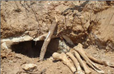 Αποκάλυψη βυζαντινού νεκροταφείου στις Σέρρες