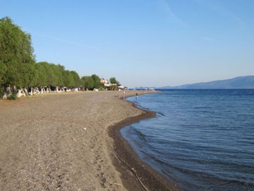 Πέντε αρχαίοι τάφοι εντοπίστηκαν κοντά στην Ερέτρια