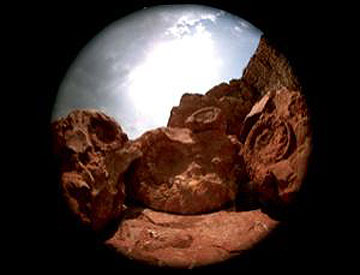 Ο Λεονάρντο ντα Βίντσι είχε κατανοήσει τη φύση των απολιθωμάτων