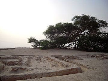Αρχαιολογία, περιβάλλον,  χρήμα, δεισιδαιμονία: πολιτισμικά παράδοξα στο Μπαχρέιν