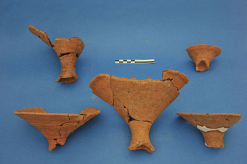 Το έργο του Σακελλαράκη συνεχίζεται στη Ζώμινθο